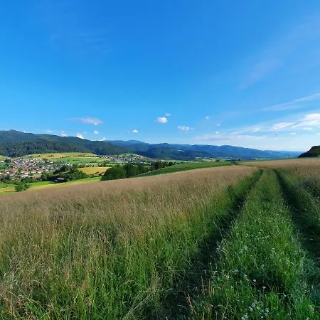 Apartamento Schneeburg *