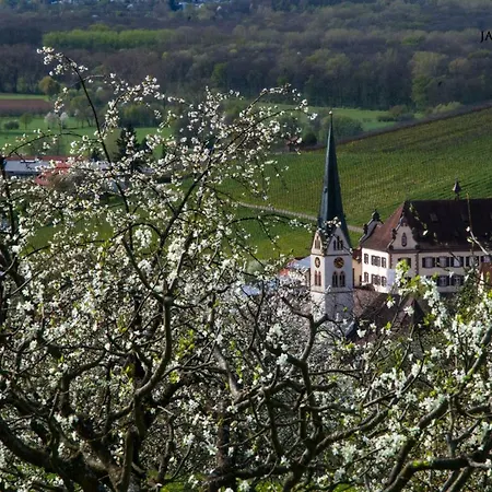 Apartment Schneeburg Ebringen