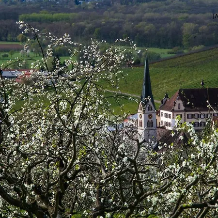 Apartamento Schneeburg Ebringen