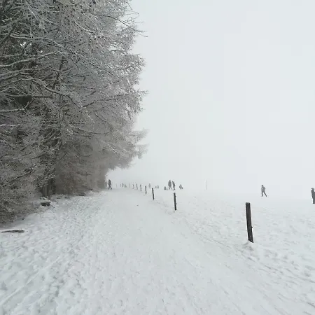 Schneeburg アパート *