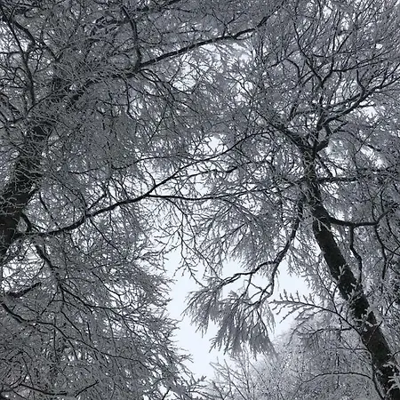 Schneeburg