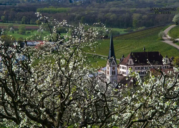 アパート Schneeburg Ebringen